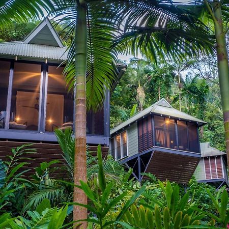 Daintree Ecolodge Exteriér fotografie
