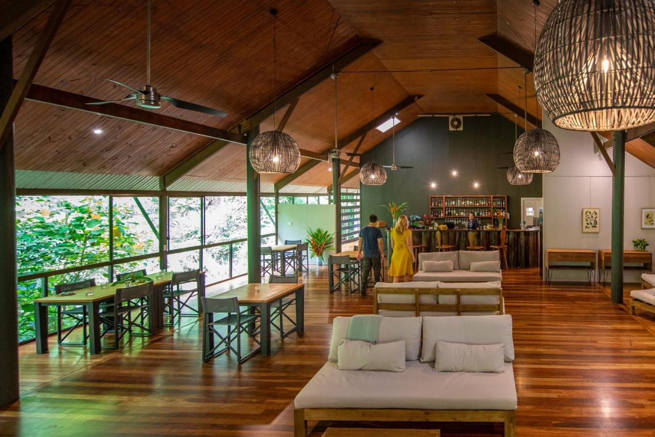 Daintree Ecolodge Exteriér fotografie