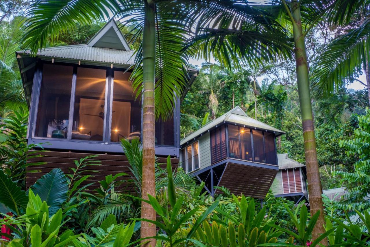 Daintree Ecolodge Exteriér fotografie