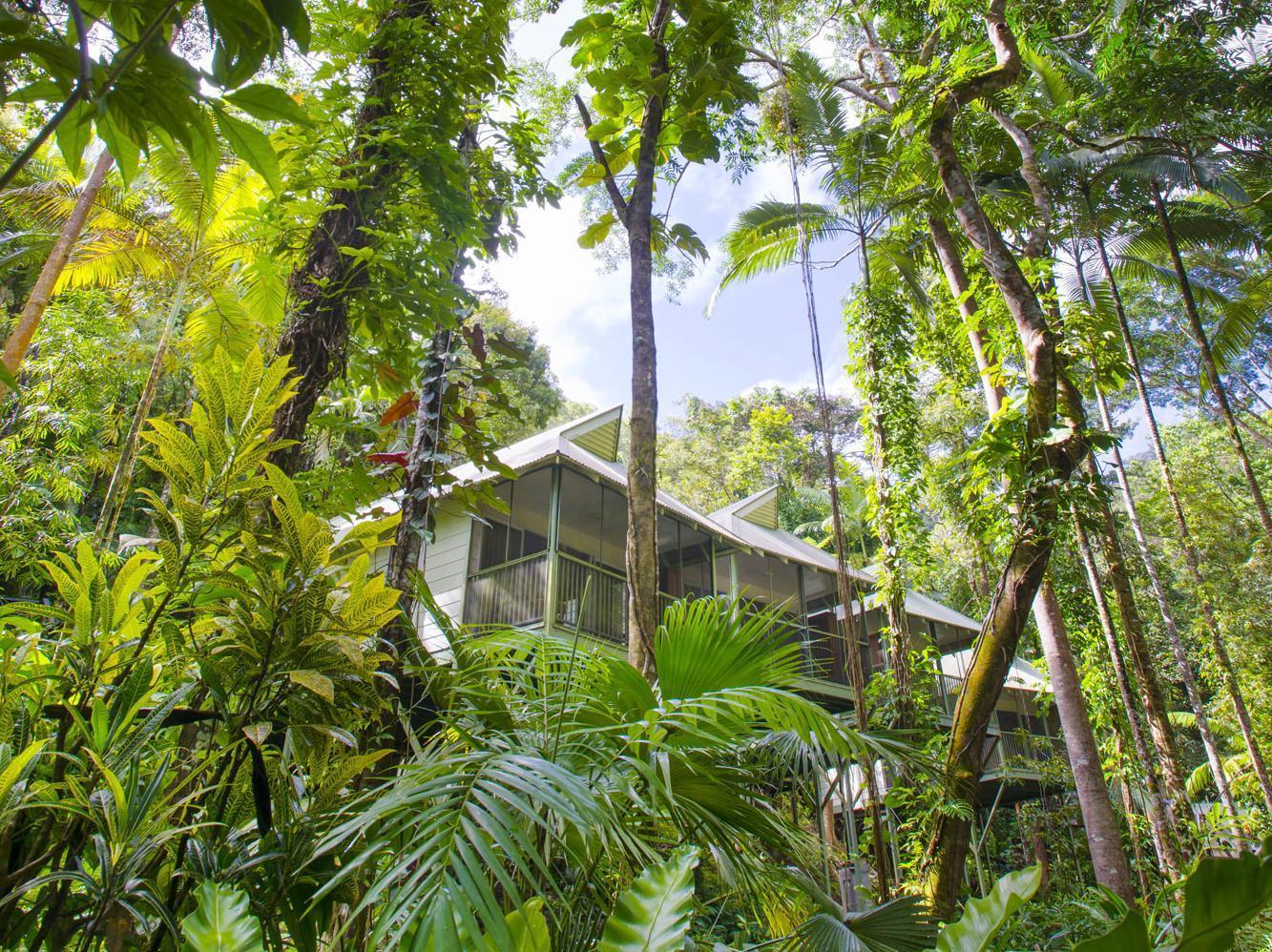 Daintree Ecolodge Exteriér fotografie