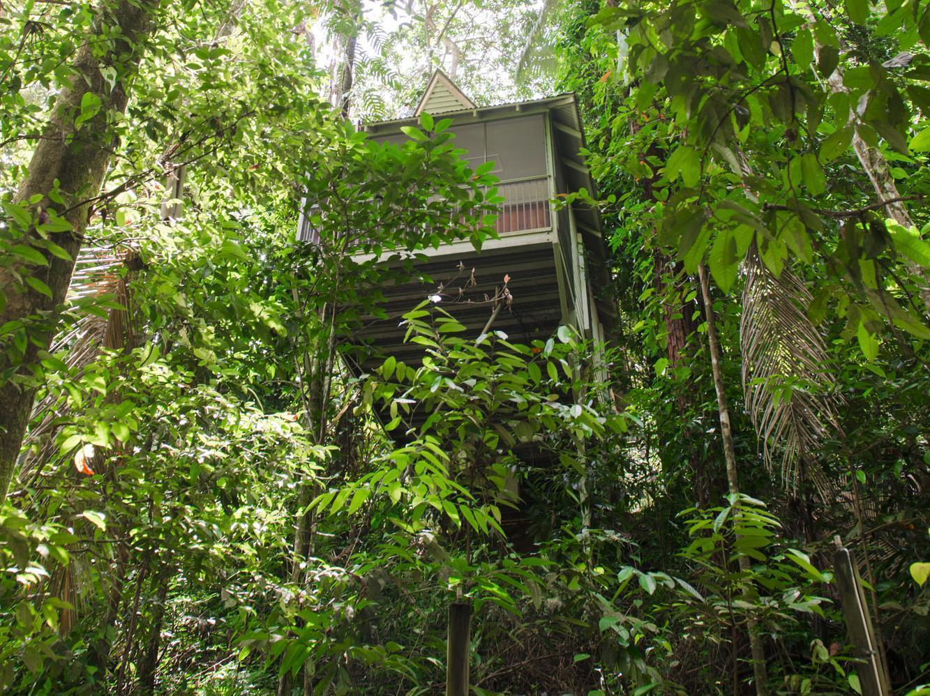 Daintree Ecolodge Exteriér fotografie
