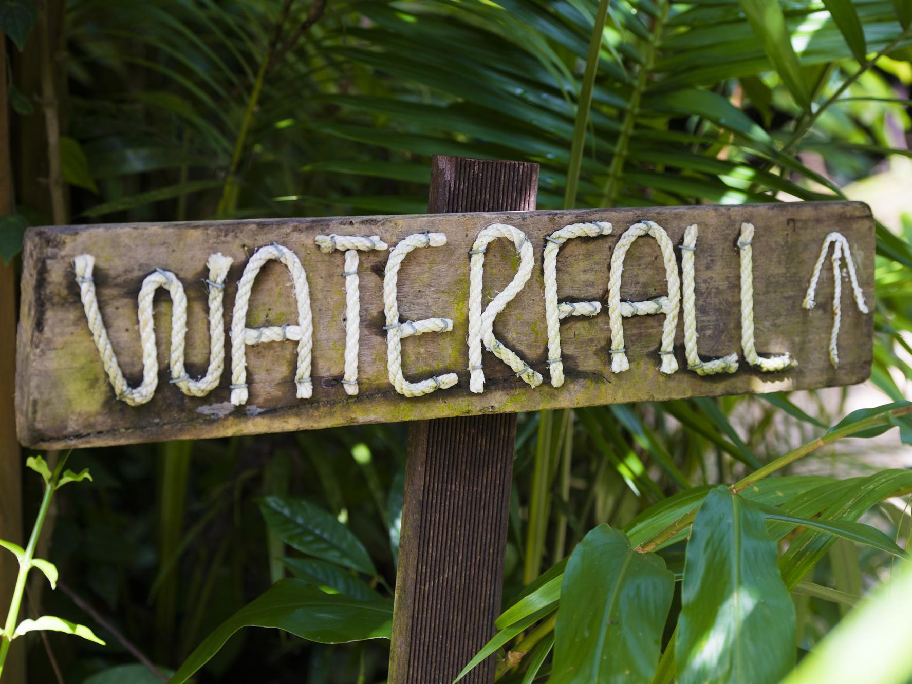 Daintree Ecolodge Exteriér fotografie