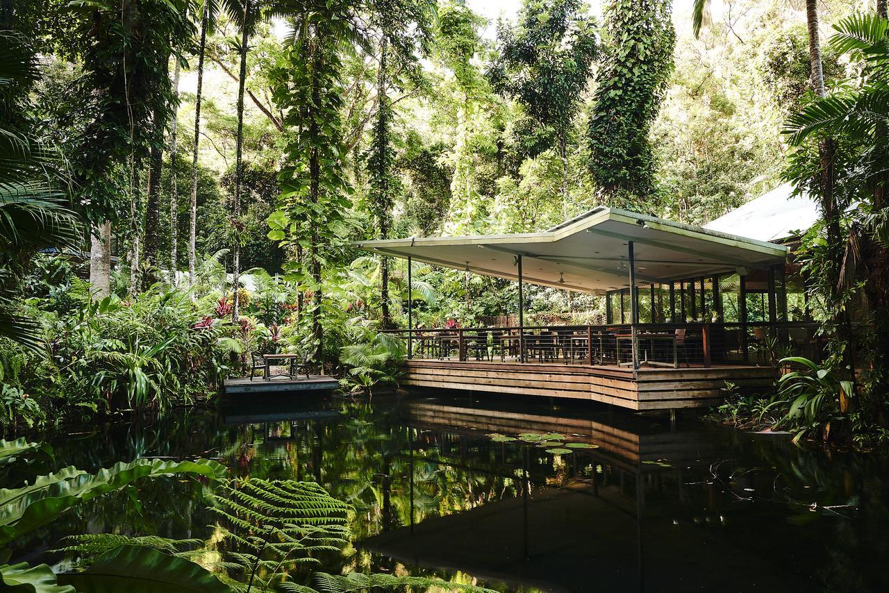 Daintree Ecolodge Exteriér fotografie
