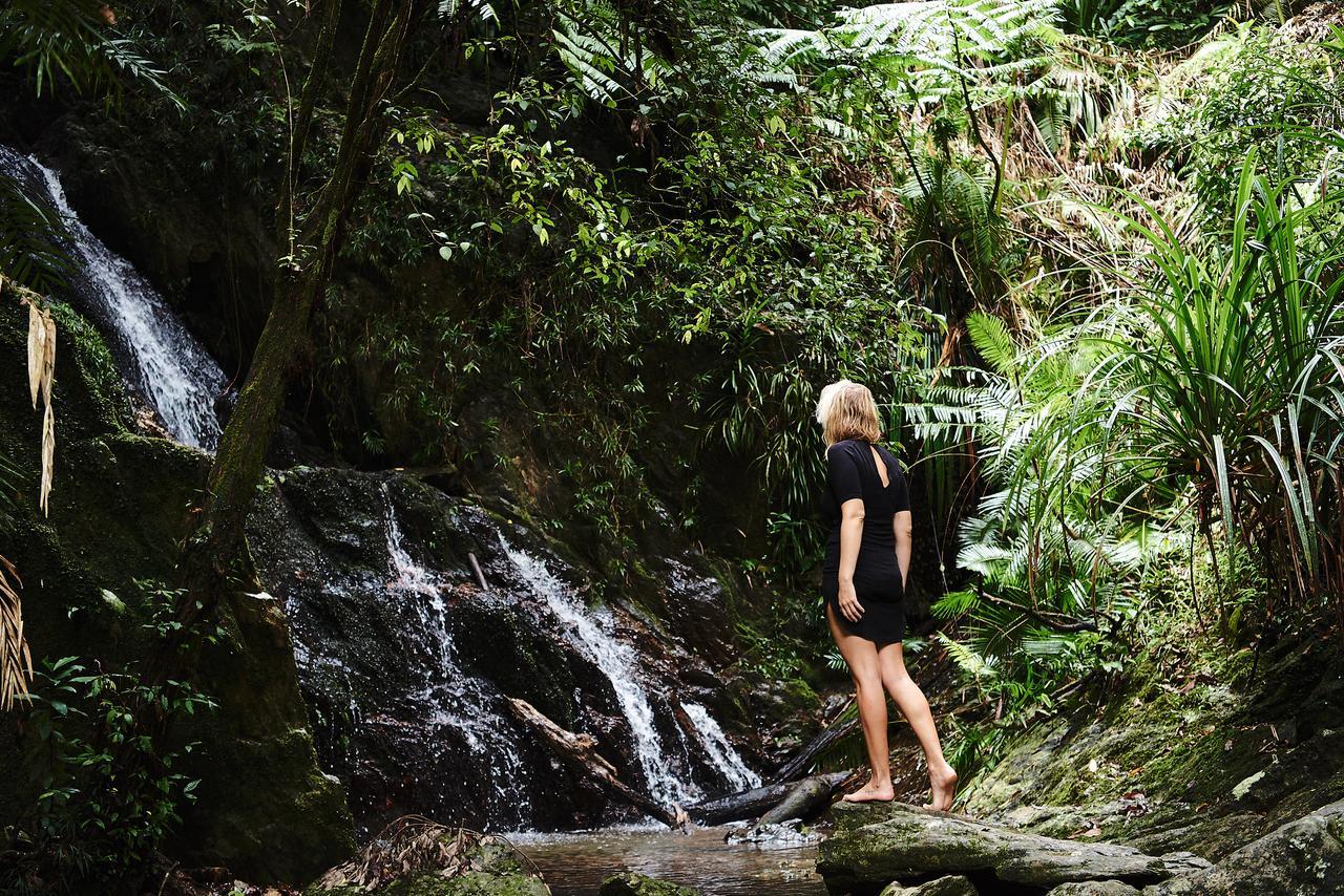 Daintree Ecolodge Exteriér fotografie