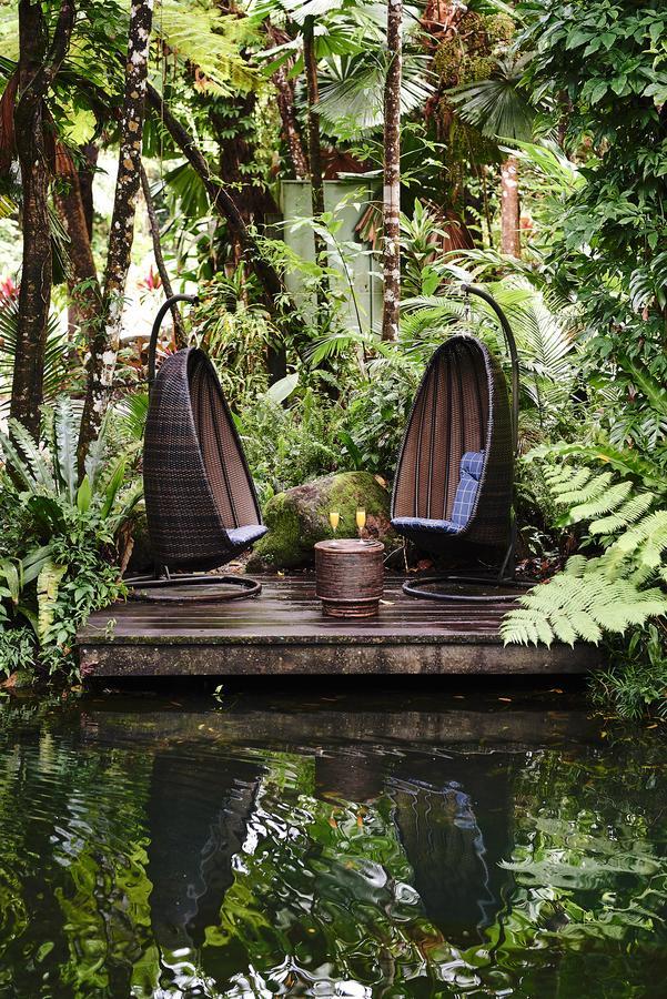 Daintree Ecolodge Exteriér fotografie