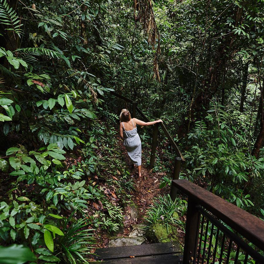 Daintree Ecolodge Exteriér fotografie