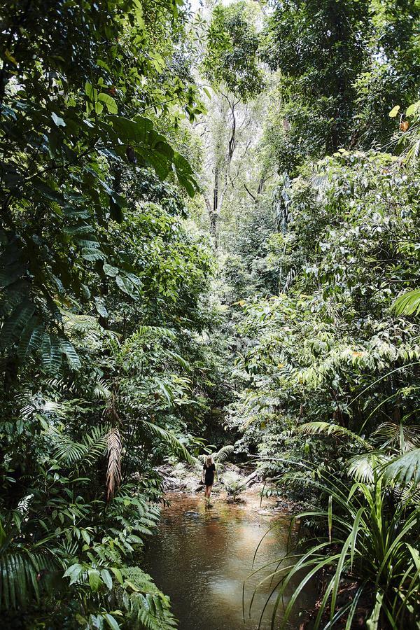 Daintree Ecolodge Exteriér fotografie
