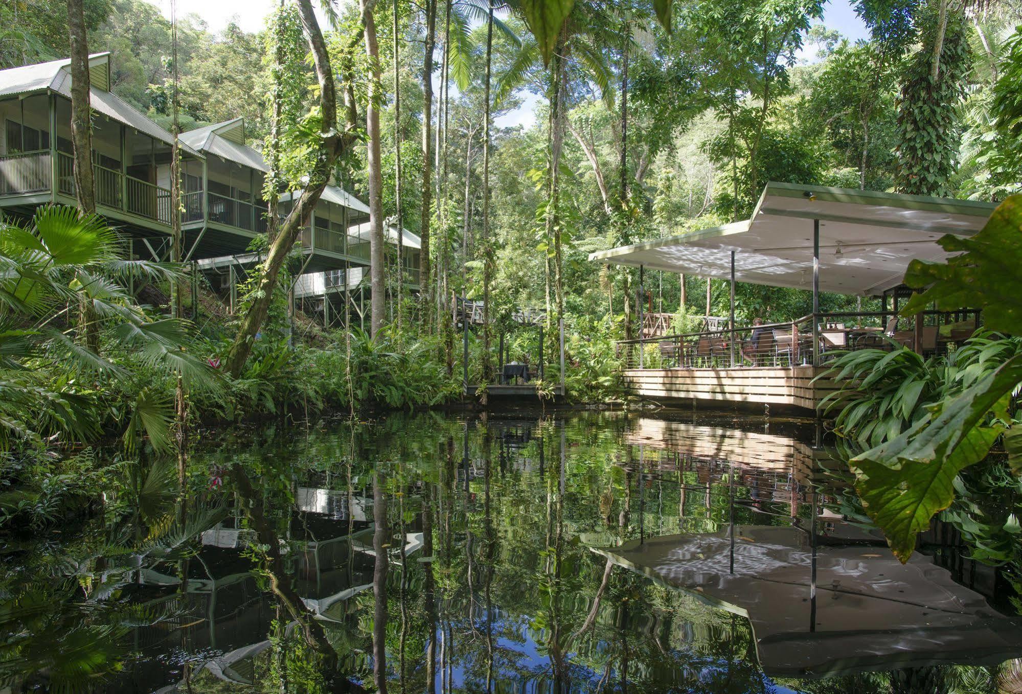 Daintree Ecolodge Exteriér fotografie