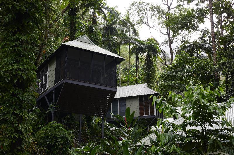 Daintree Ecolodge Exteriér fotografie