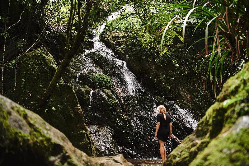 Daintree Ecolodge Exteriér fotografie