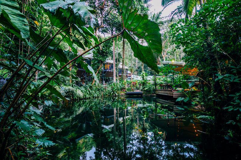 Daintree Ecolodge Exteriér fotografie