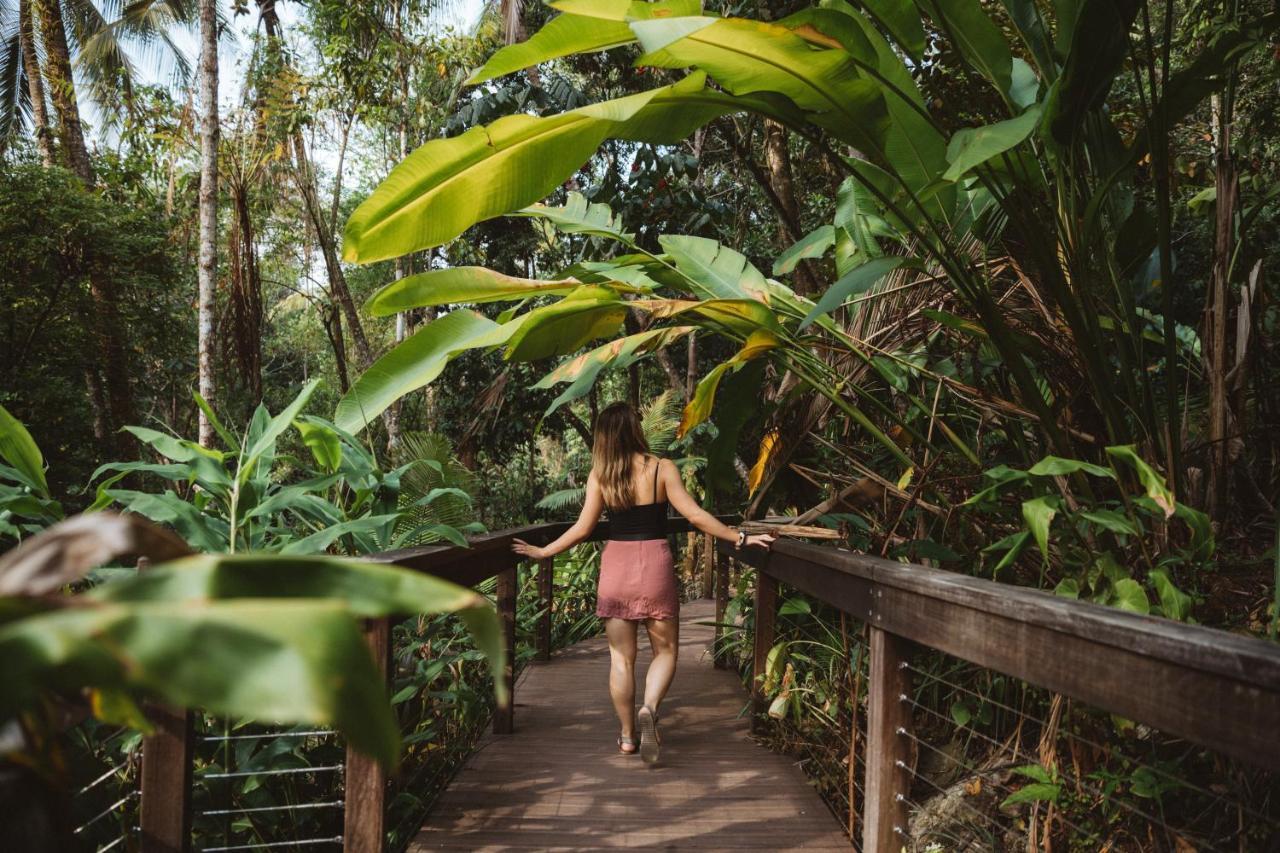 Daintree Ecolodge Exteriér fotografie