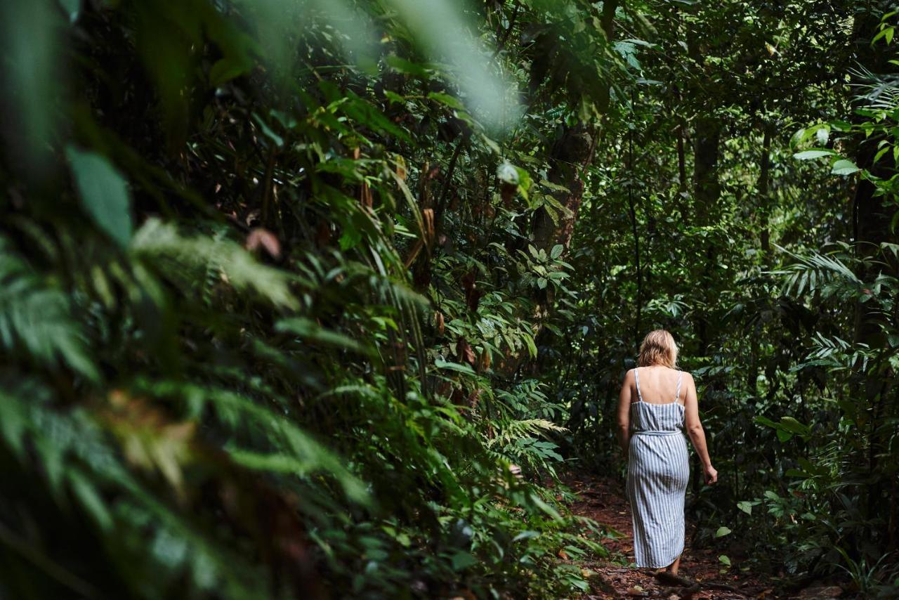 Daintree Ecolodge Exteriér fotografie